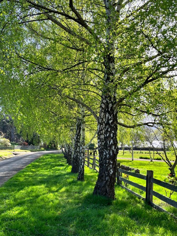 Green Gables B&B Cygnet Экстерьер фото