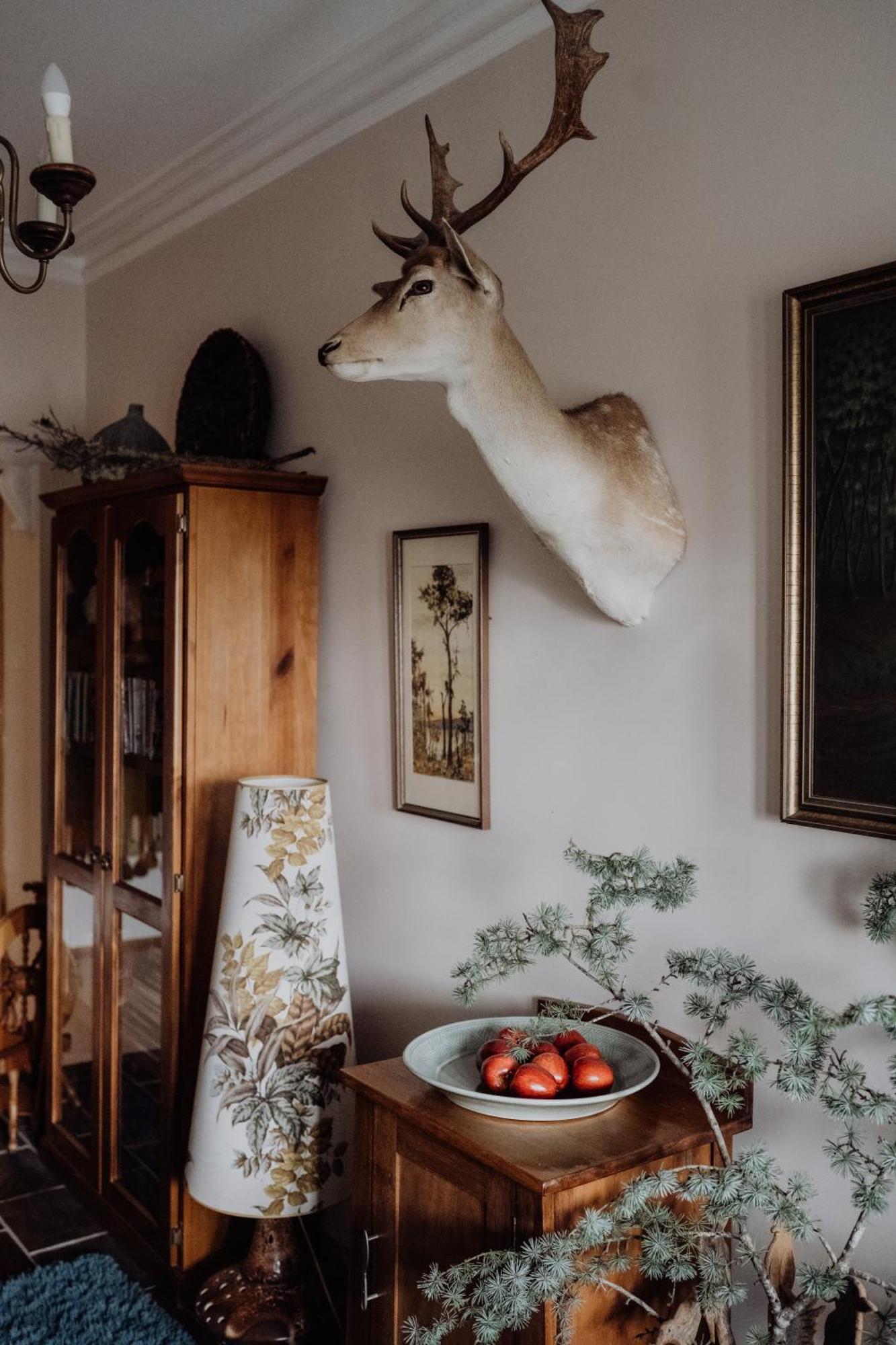 Green Gables B&B Cygnet Экстерьер фото