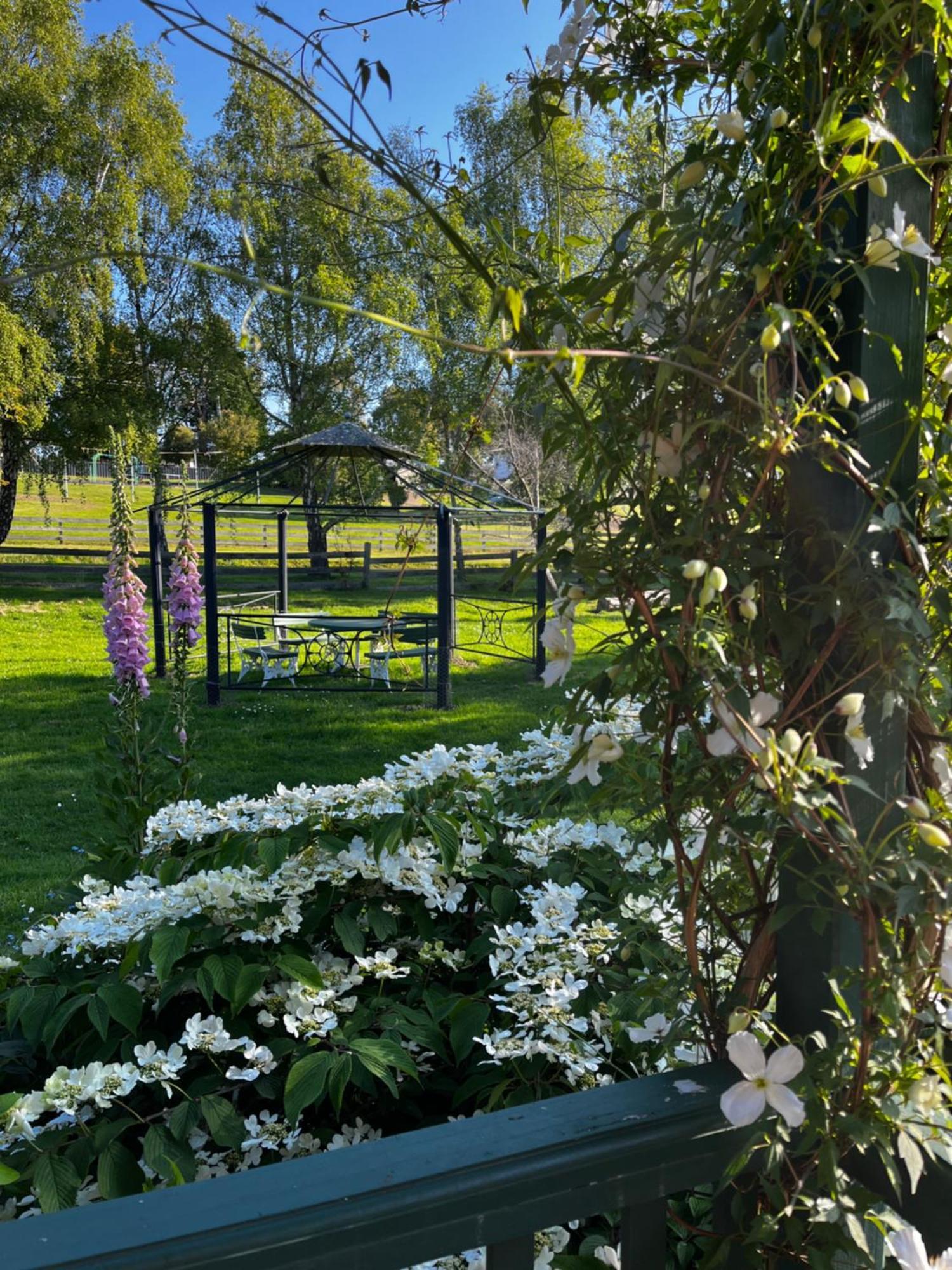 Green Gables B&B Cygnet Экстерьер фото